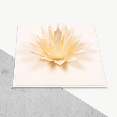 Certificados imprimindo deslocados do FCC do CE ROHS de Lily Shape da água branca do cartão do PNF 3D acima